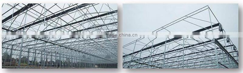 steel frame greenhouse