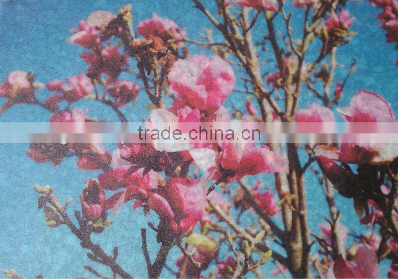 EVA custom decorative film for wholesale