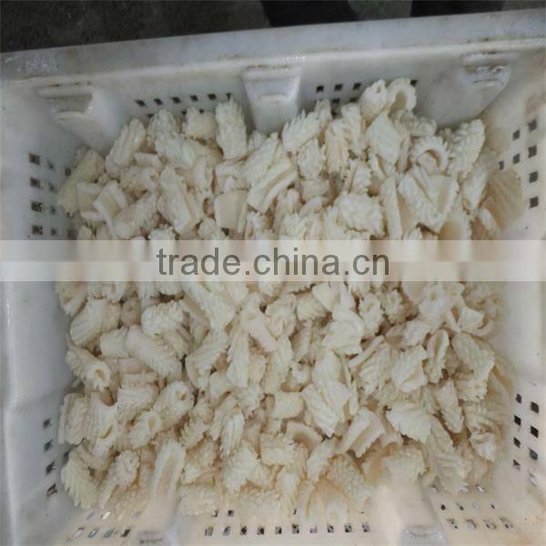 best season iqf cooking live squid for sale