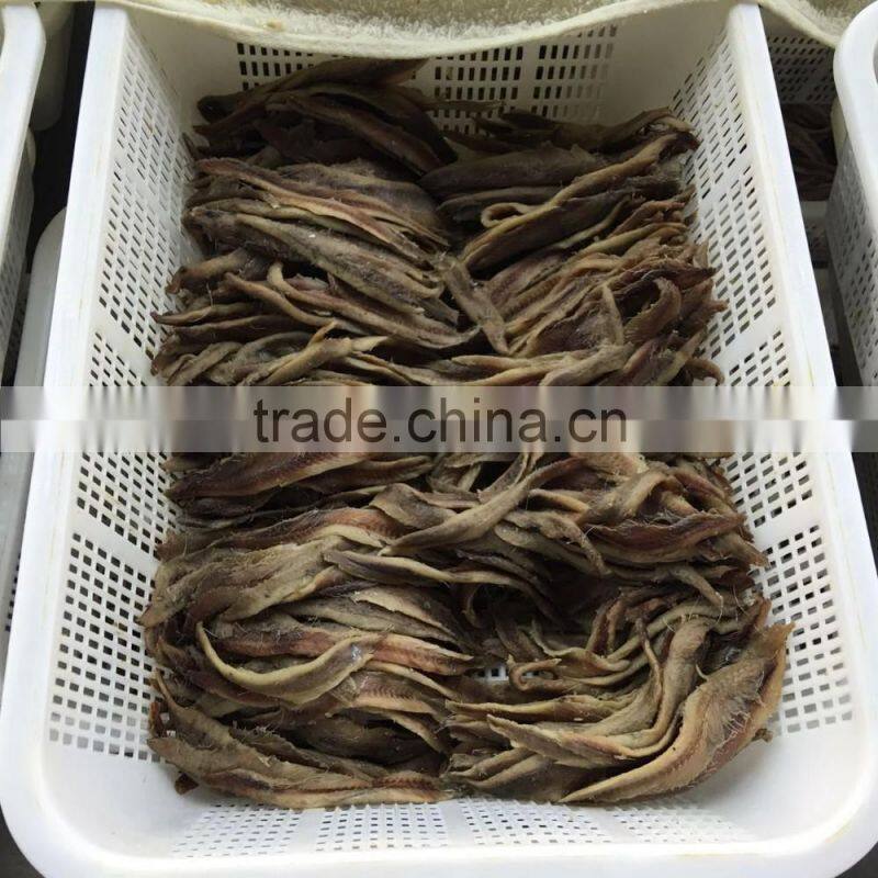Hot sales v-packed Frozen salted anchovy fillets
