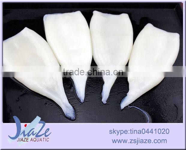frozen squid tube/giant squid/illex squid
