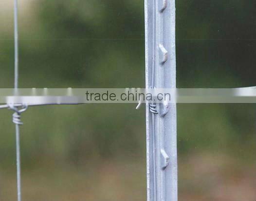 Steel Fence Post-T Style on hot sale china supplier on sale