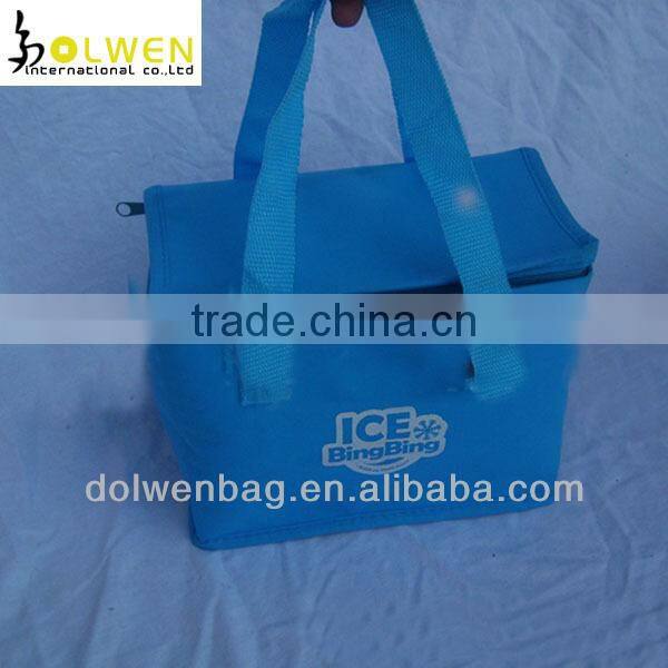customized ice bag picnic ice bag travel ice bag