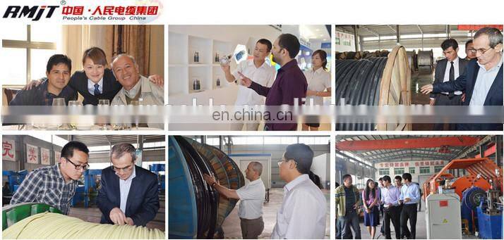 Insulated enameled copper wire multi strands litz wire in high frequency electrical cable wire From China