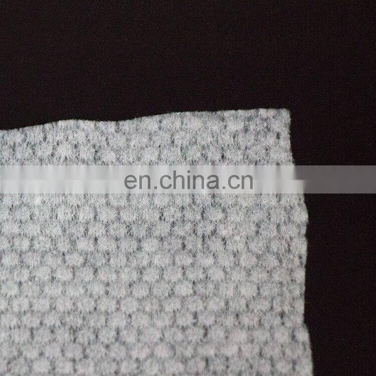 Multi-Function Soft Nonwoven Fabric Adult Oem Dry Wet Wipes in Canister