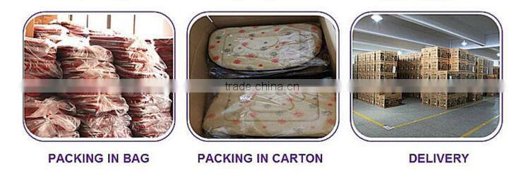 Osini new styple gridding zipper closure pouch cosmetic bag Makeup Bag for ladies