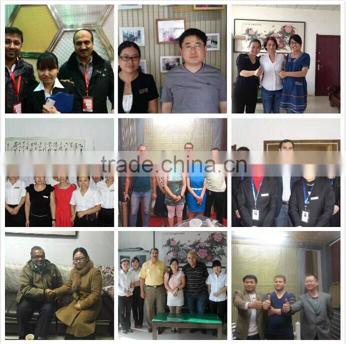 Welded Mesh Galvanized Gabion Wire Mesh Box (ISO Factory)