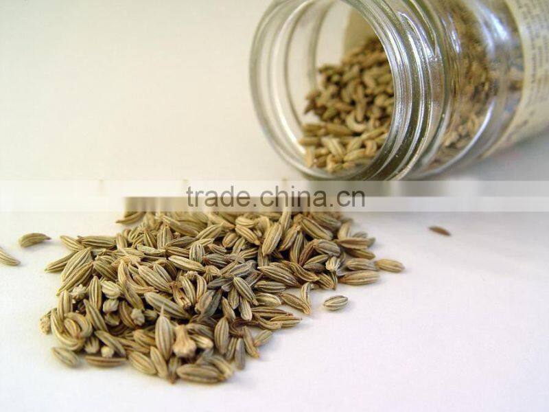 Cumin seeds