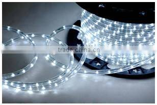Led Rope Light 24 leds