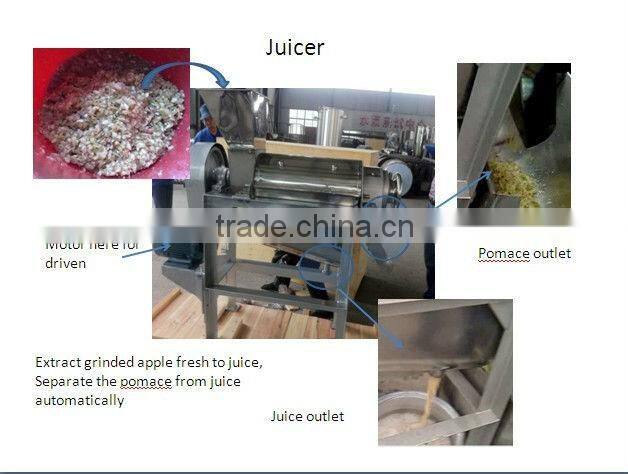hot sales vegetable crush juicing machine