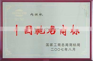 high quality vertical 1 cylinder diesel engine