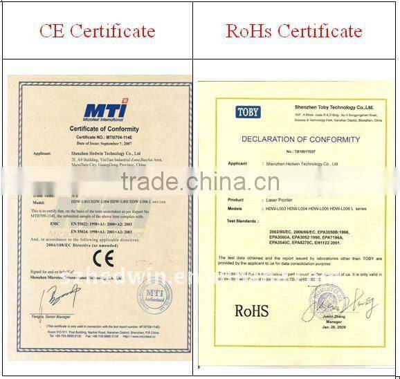 Delicate 450nm 1W Blue Laser Pointer With Amazing Power