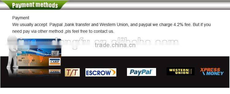 2016 Dengfu Carbon Time Trial Bike Frame FM087 with Cheap Price