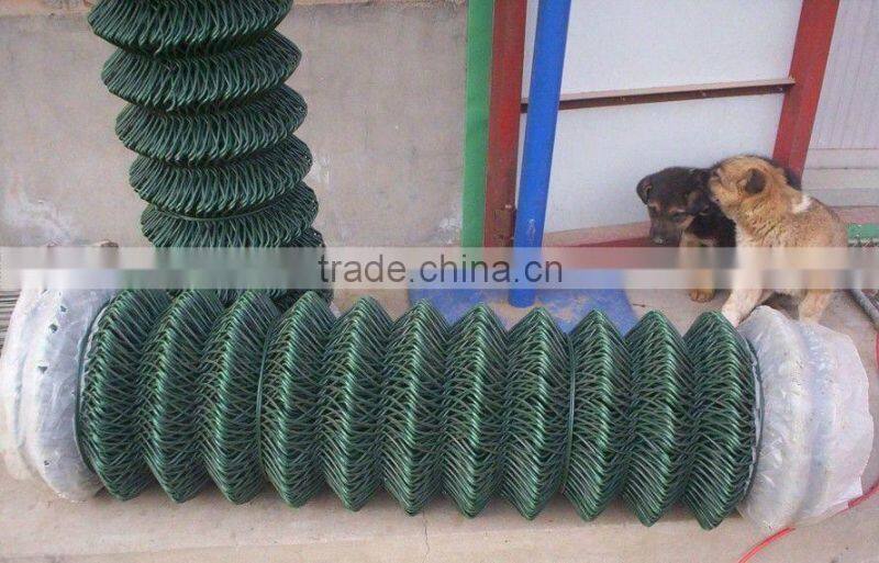 chain link fence 50mmX50mm hole size