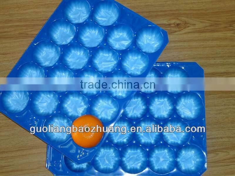 Recycled Fruit Tray Punnet