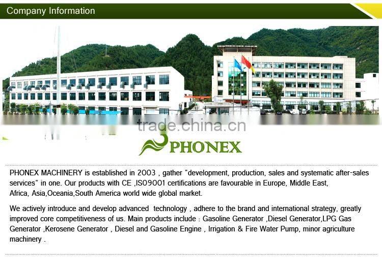 Phonex Silent Gasoline Generator 6.5hp Gasoline Generator 2.5kva Gasoline Generator