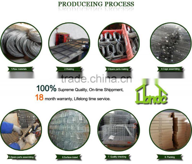 72D Large Animal Cage