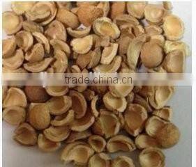 Almond filbert shell kernel separator(whatsapp:13782789572)