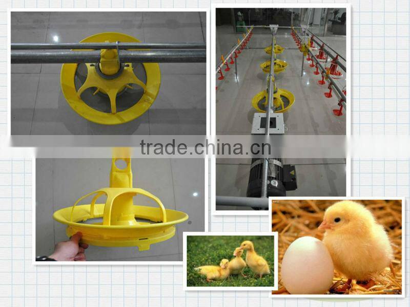 Autometic Duck feeder