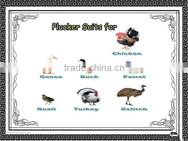 Poultry depilation macheine,chicken plucker,new chicken/duck/goose poultry slaughtering machine