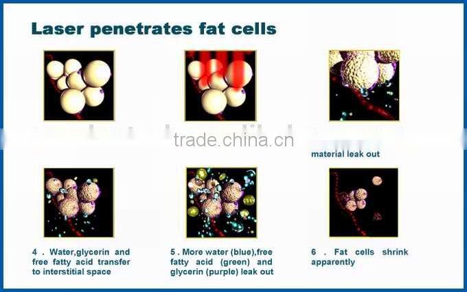 topsale immediate result fat burning laser machine (CE ISO TUV FDA)