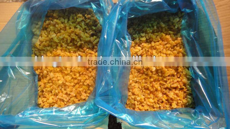 all kinds of dried raisin (green raisin/red raisin /golden raisin/sultana)
