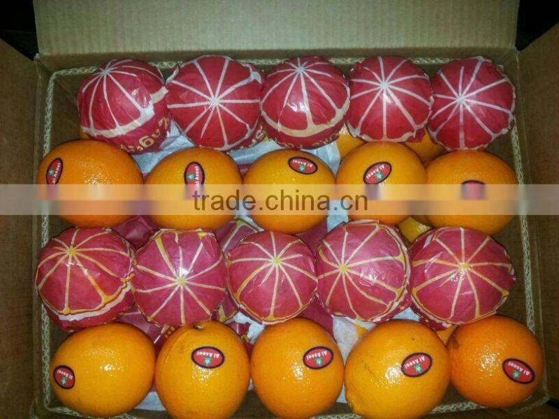 LEMON PLUS ORANGE FROM EGYPT