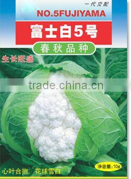 Plateau Over Summering Used High Yield Hybrid White Cauliflower Seed