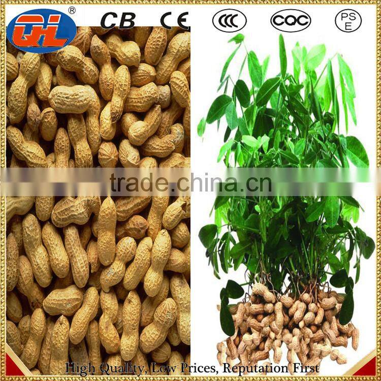 Groundnut picker|Peanut picking machine|Peanut picker