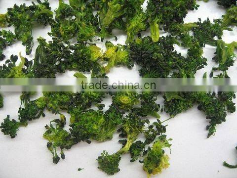 dehydrated broccoli 2012