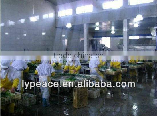 produced for ad carrot flakes