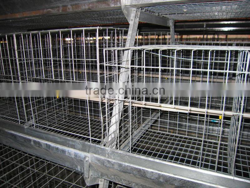9WCD-3198 A-type Hot Galvanized Pullet Chicken Rearing Cage