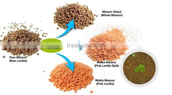 High efficiency 5TPH lentil cleaning and splitting line