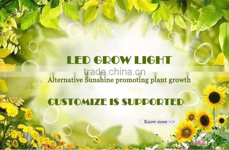 Noah adjustable quiet fanless full spectrum 1000w led grow lights