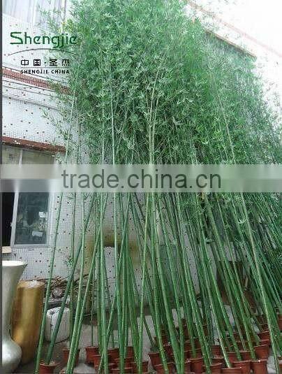 Home garden decoration artificial outdoor green lucky Bamboo fake evergreen bamboo