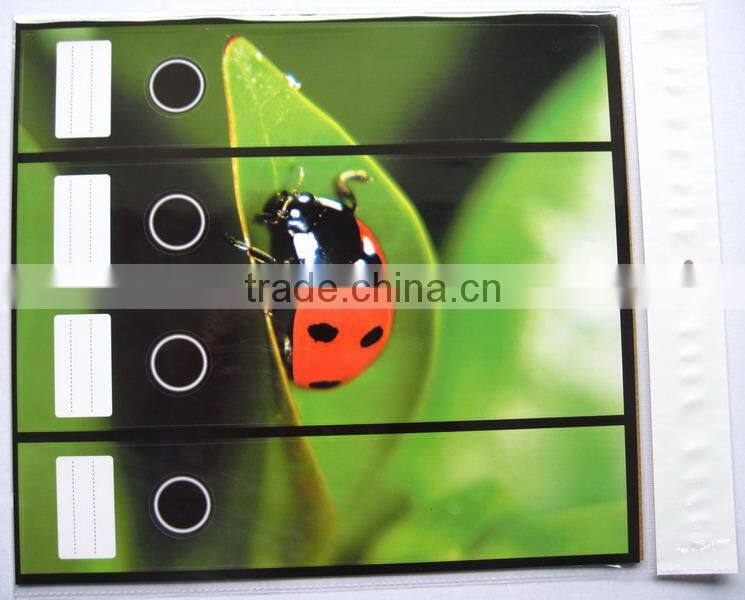 Paper Cardboard File Folder Sticker