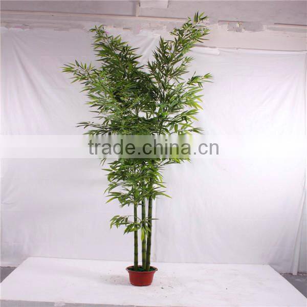 artificial green bamboo plant real trunk in factory price good quality