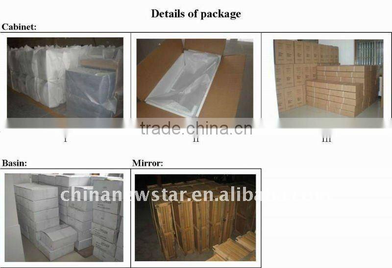 2011 Popular Modern Vanity (Wall Hung Series)