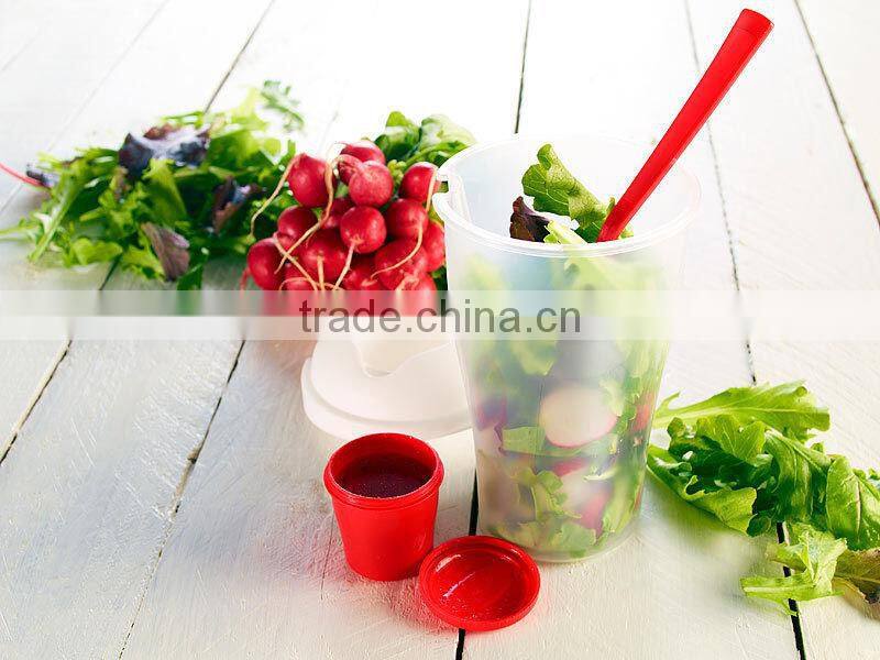 2017 new Salad to go Mug with Dressing Container & Fork
