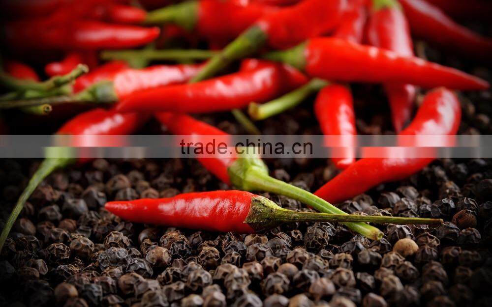 Fine Grade Of Kashmir Red Chilli Powder For OEM Manufaccturing