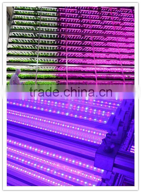 Super bright 15w fixture t8 led tube grow light kind led grow light