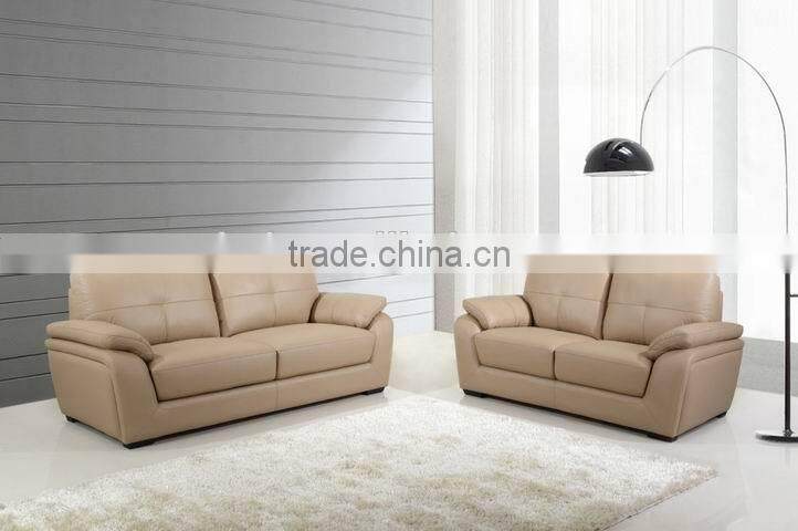 modern leather Sofa