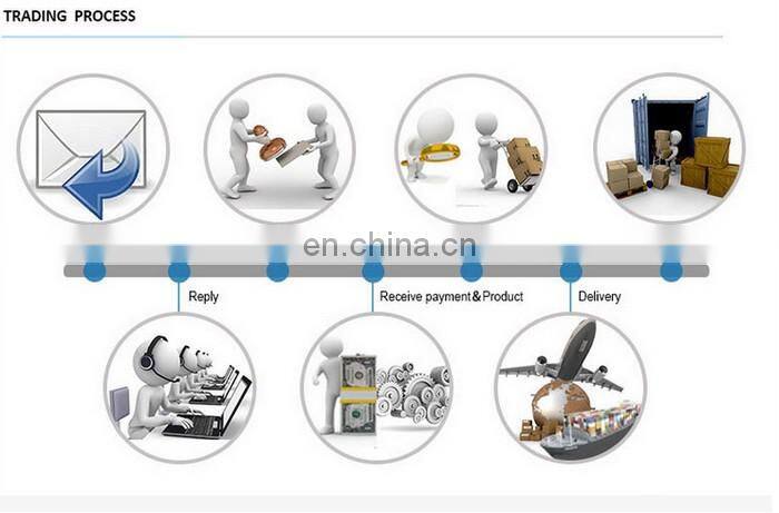 paper magnetic world map puzzle