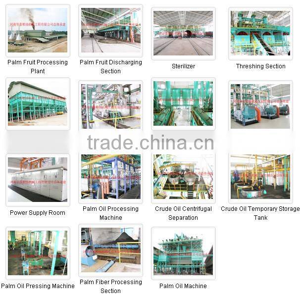 Best selling palm oil pressing machine, palm oil processing equipment