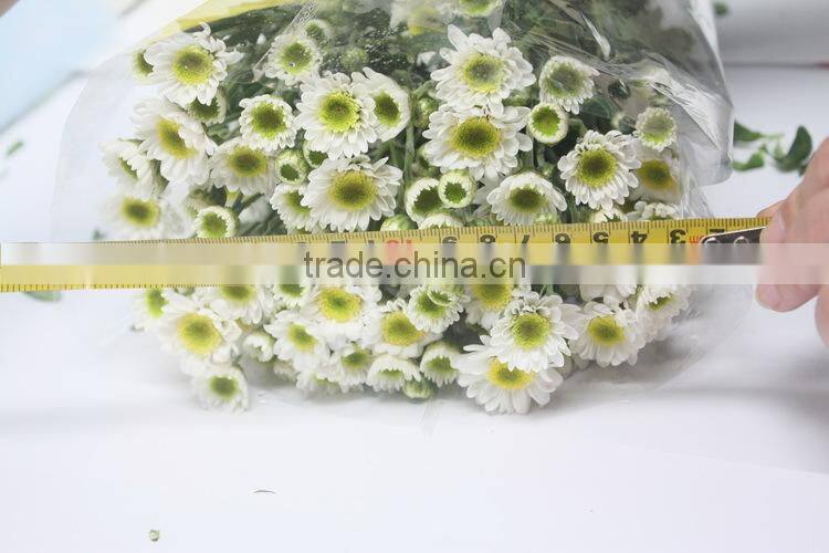 Various top sell chrysanthemum flower from china