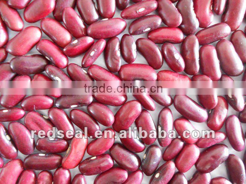Chinese small red kidney beans