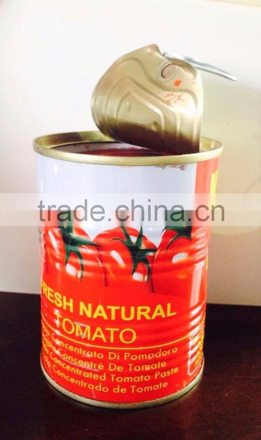 healthy high quality canned tomato paste