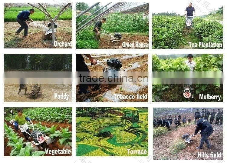 Agricultural tools and uses 2-wheel mini power tiller with weeding equipment names tri-group rotary blade