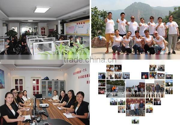 Palisade fencing /Yard fence / mesh fence / weld mesh fence