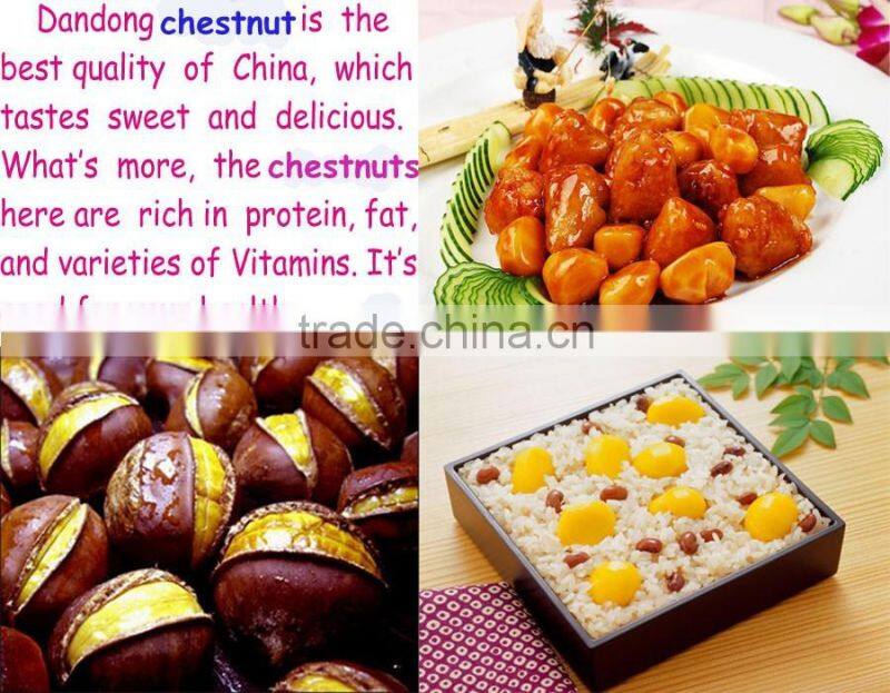 Bulk excellent Quality new fresh Dandong Chestnuts